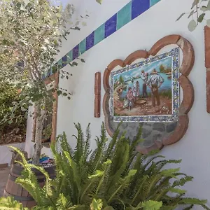 Burros Bed and breakfast Tolatán